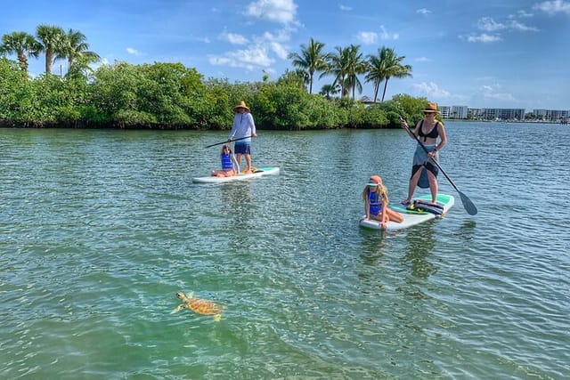 Paddle Boarding Eco Adventure Tour Jupiter Florida - Singer Island - Photo 1 of 18